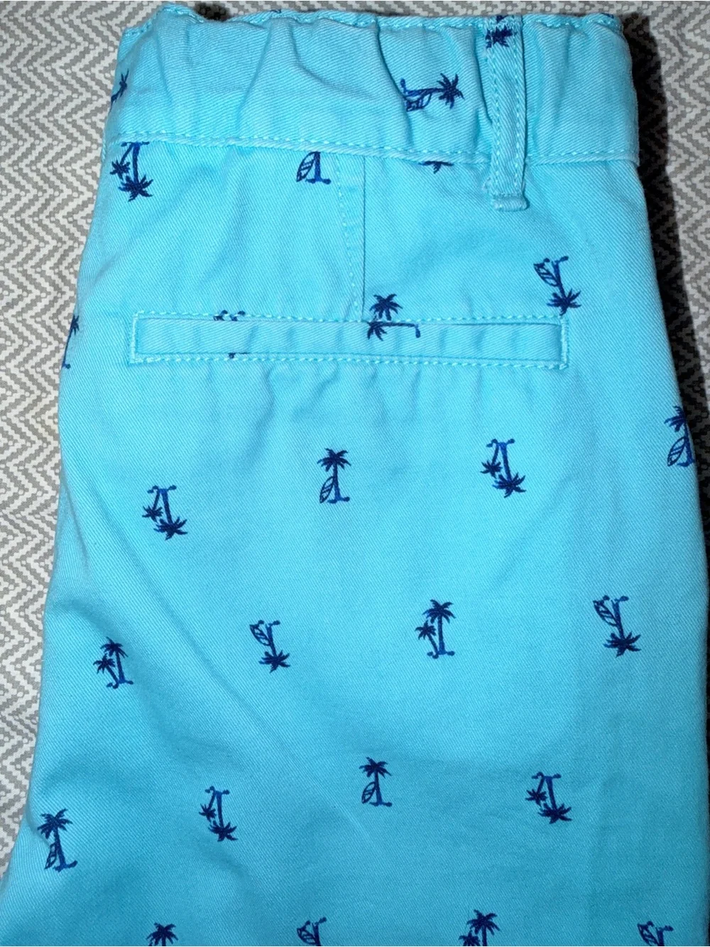 The Children’s Place Boys Aqua Palm Tree Print Chino Shorts